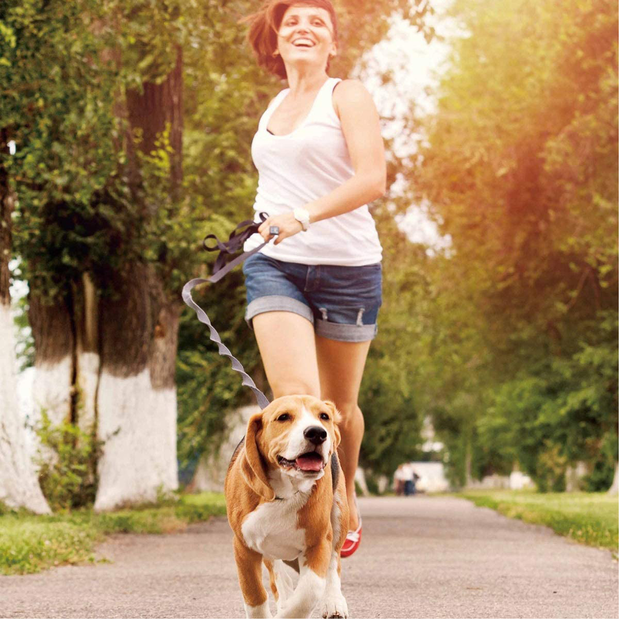 GOOPAWS No Pull Hand Free Bungee Dog Leash for Hiking, Running, Blue - Image 6