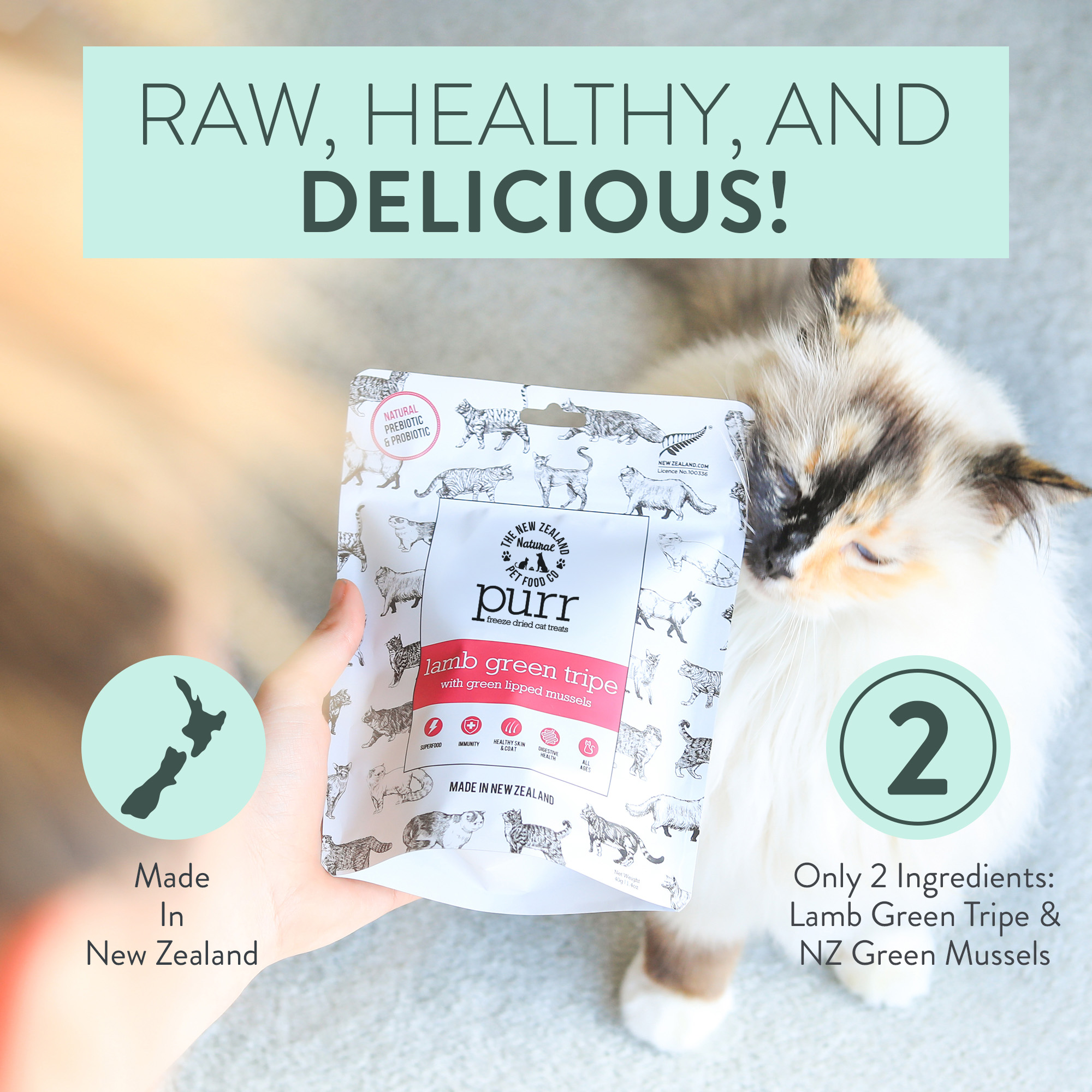 PURR LAMB GREEN TRIPE Freeze Dried Cat Treats - Image 3