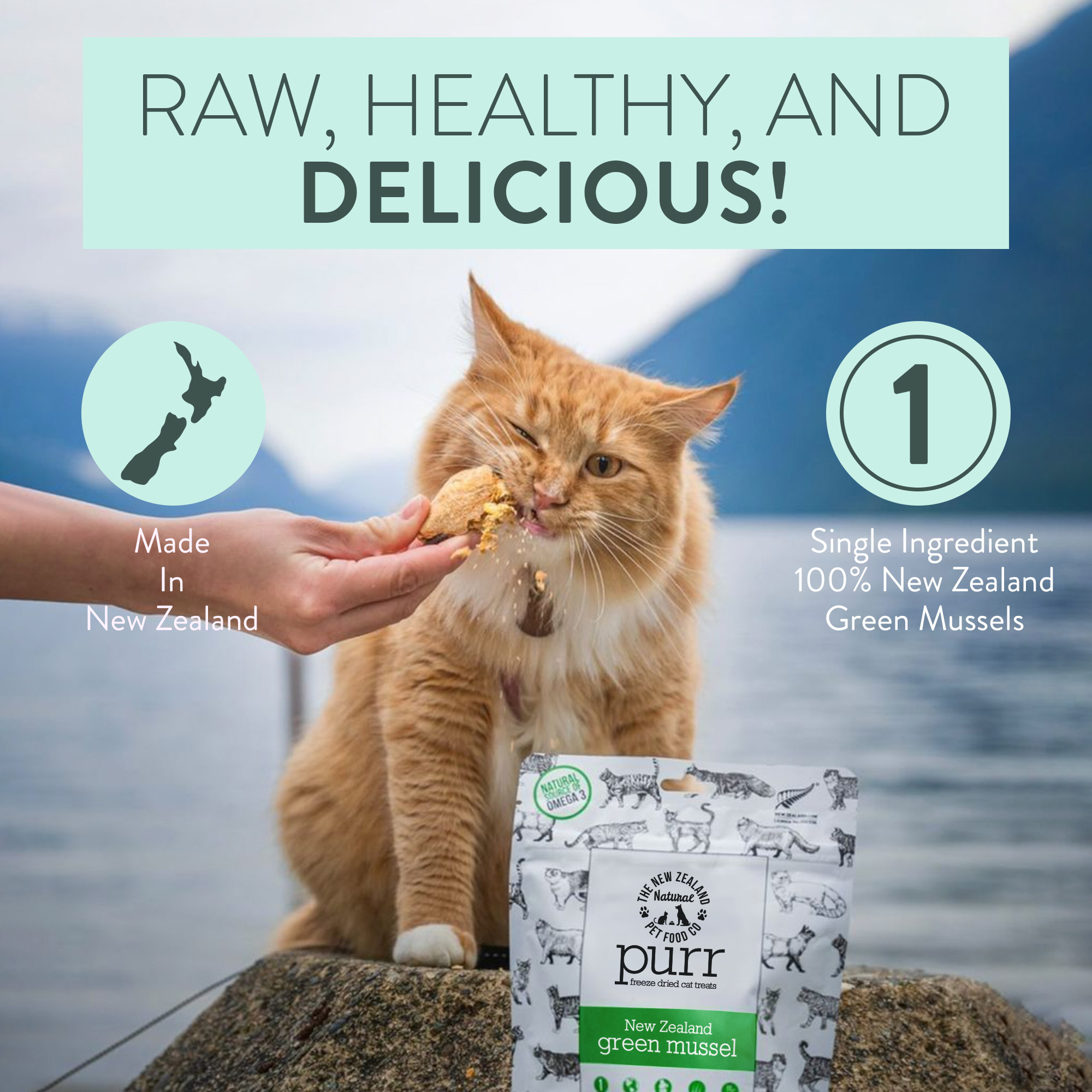 PURR NZ Green Mussel Freeze Dried Cat Treats - Image 3
