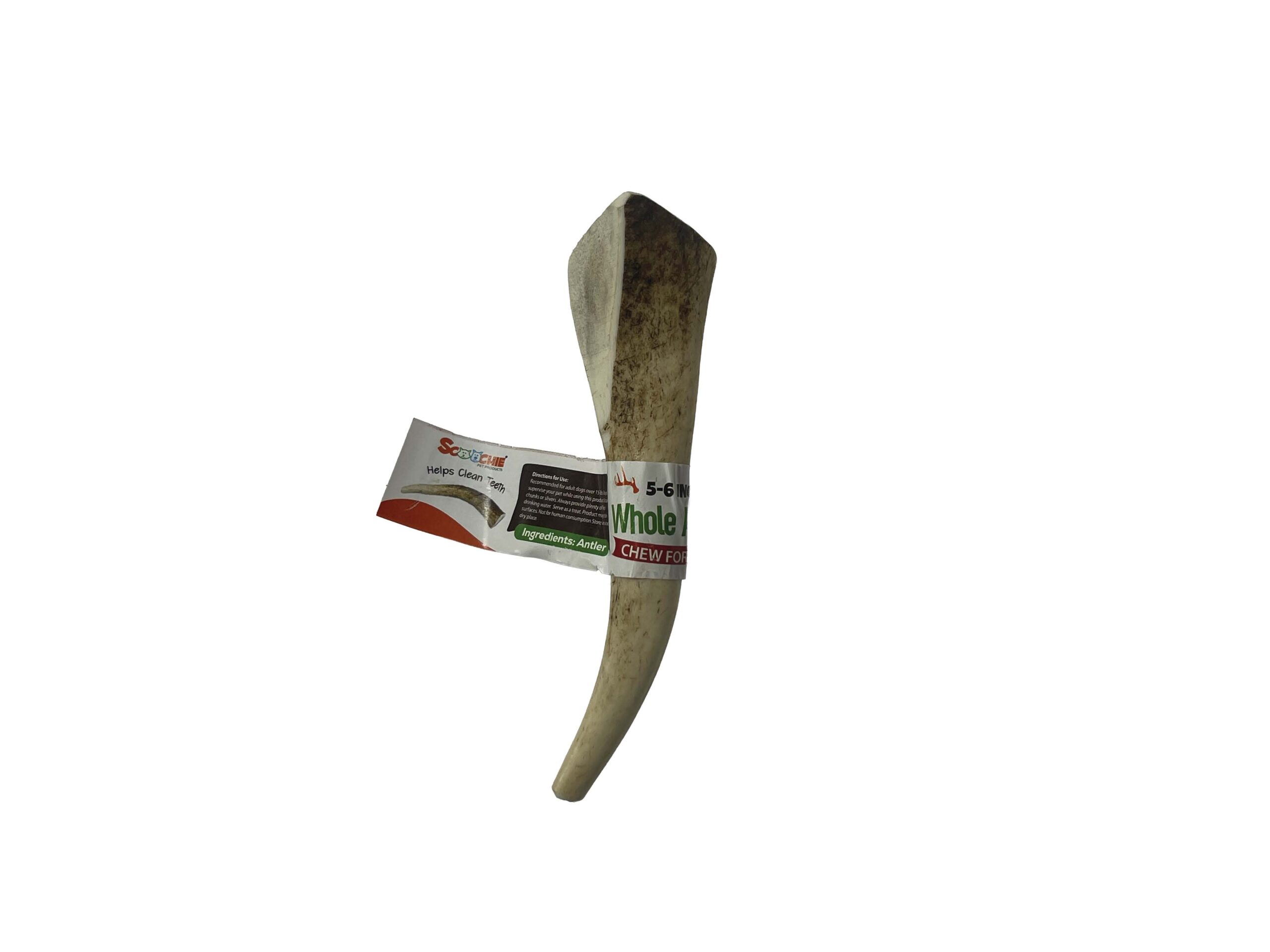 5-6 Inch Antlers Whole with Cigar Band UPC - Image 2