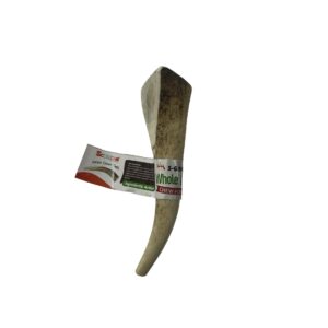 5-6 Inch Antlers Whole with Cigar Band UPC
