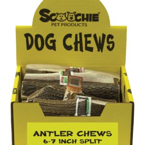 6-7 Inch Antlers Split PDQ of 24
