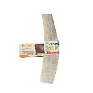 3-4 Inch Antlers Split with Cigar Band UPC