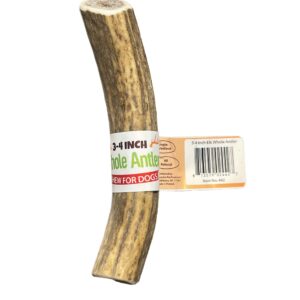 3-4 Inch Antlers Whole with Cigar Band UPC