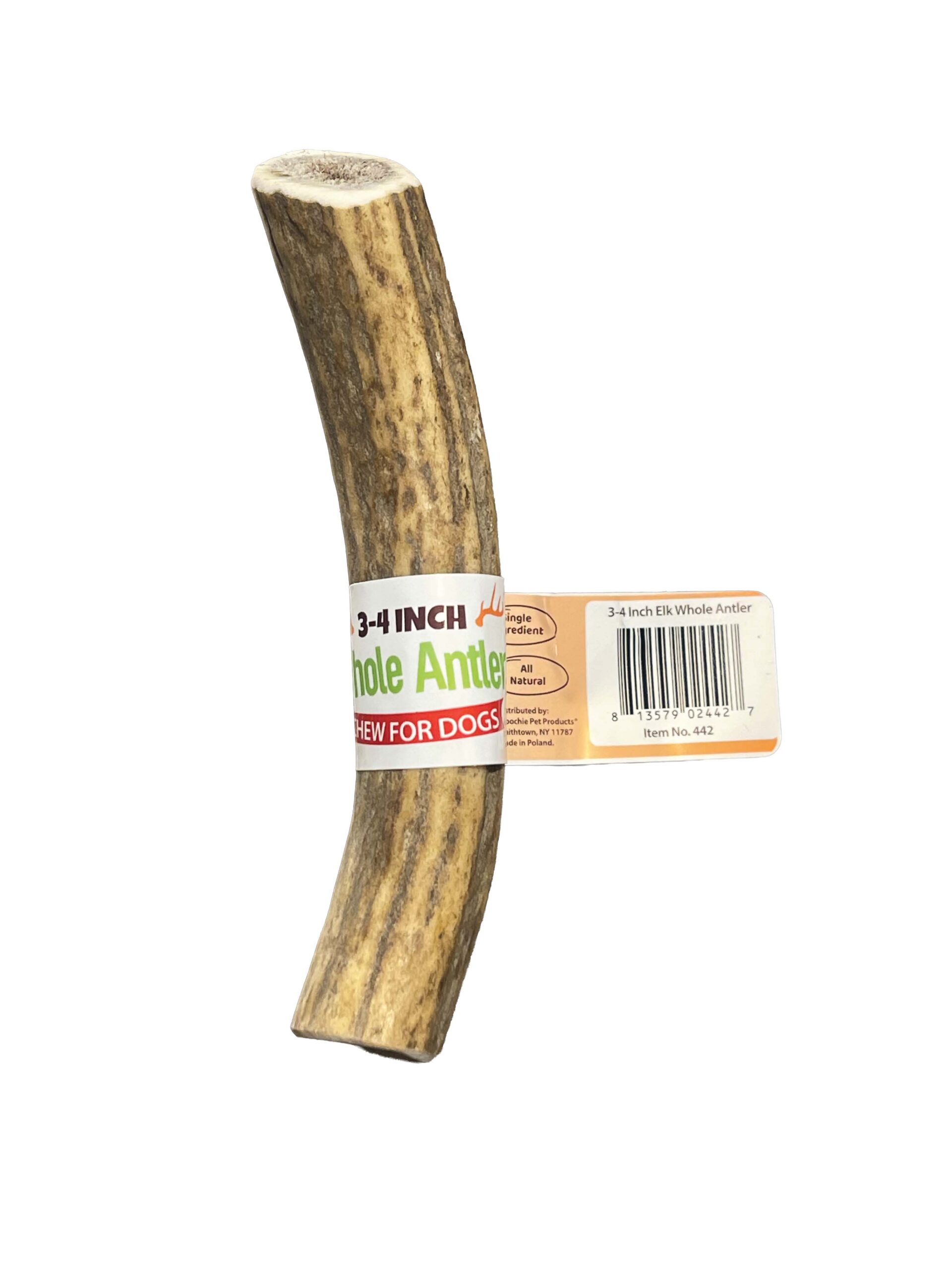3-4 Inch Antlers Whole with Cigar Band UPC