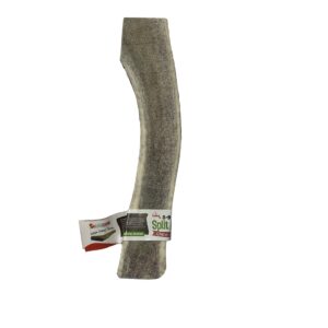 8-9 Inch Antlers Split with Cigar Band UPC