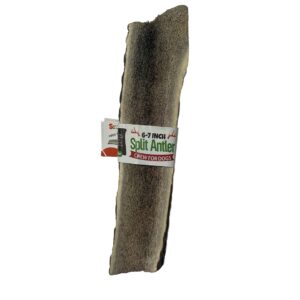 6-7 Inch Antlers Split with Cigar Band UPC