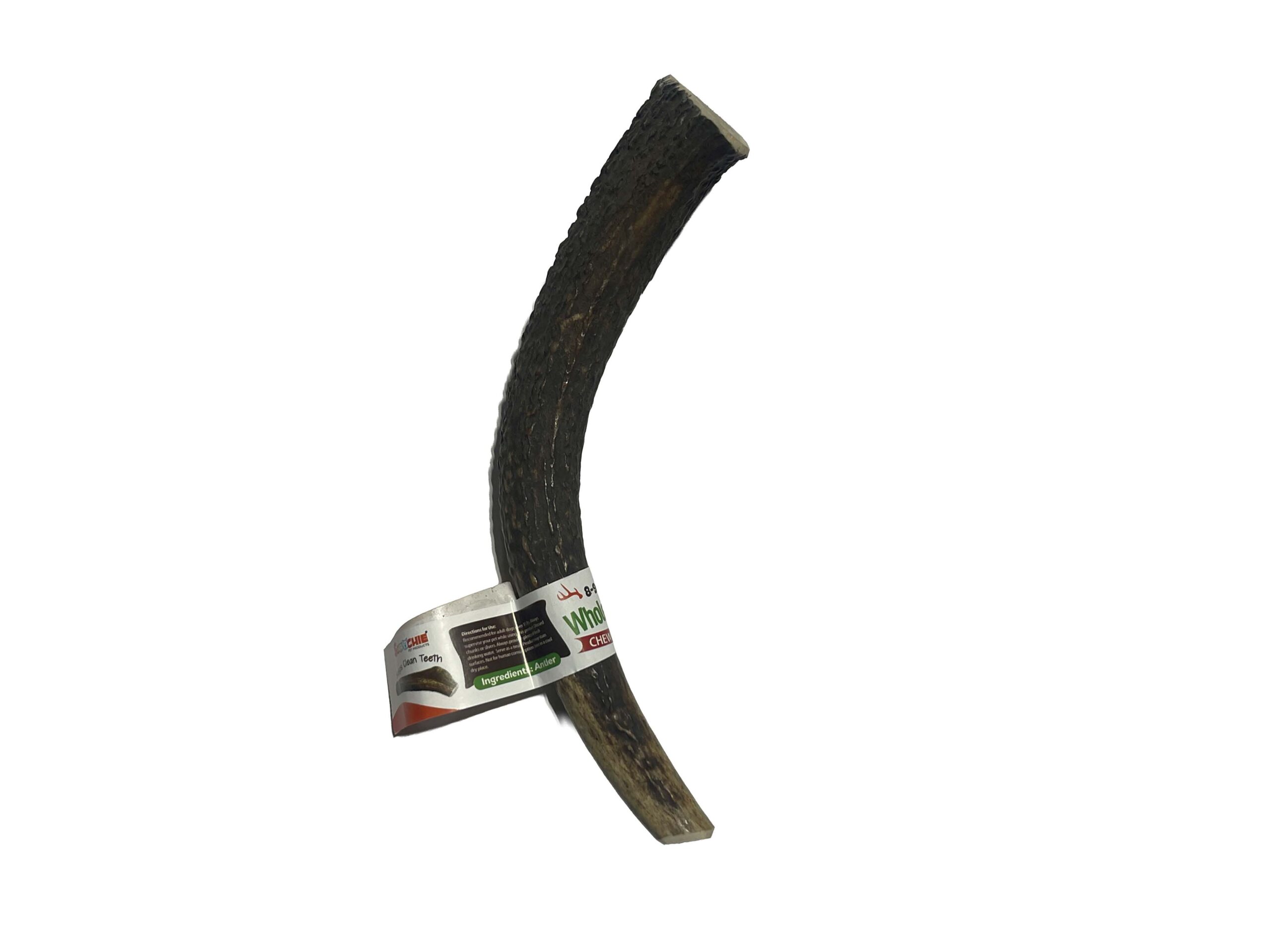 8-9 Inch Antlers Whole with Cigar Band UPC - Image 4