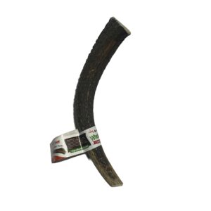 8-9 Inch Antlers Whole with Cigar Band UPC