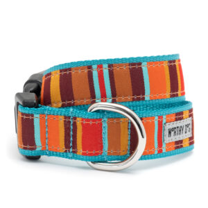 Fall Fiesta Stripe Dog Collar