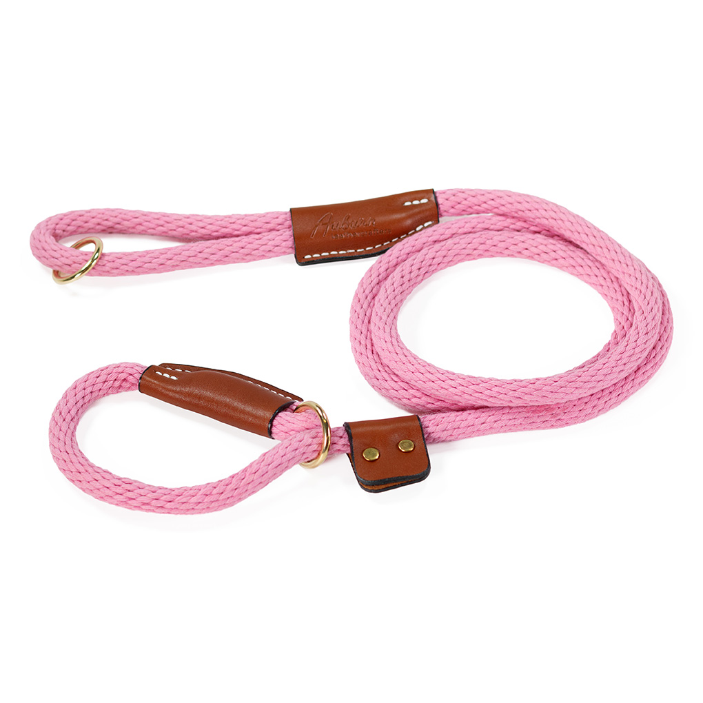 Braided Cotton Rope Leash - Slip - Image 6