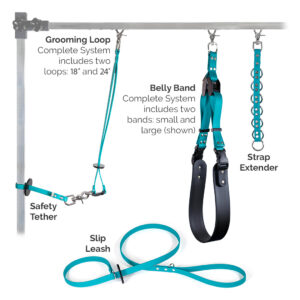 teal grooming system