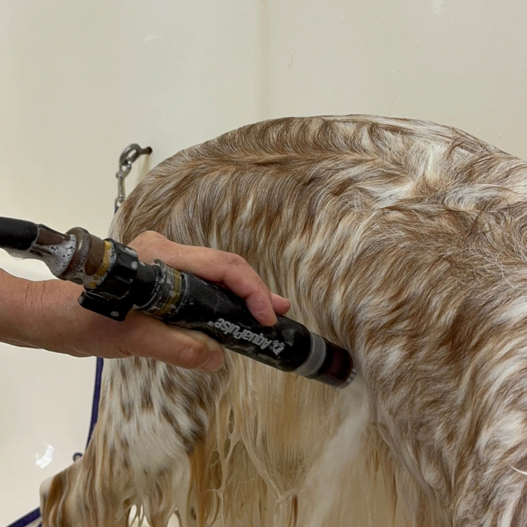 Hydro-Therapeutic Massage Nozzle for Dogs by AquaPulse - Image 2