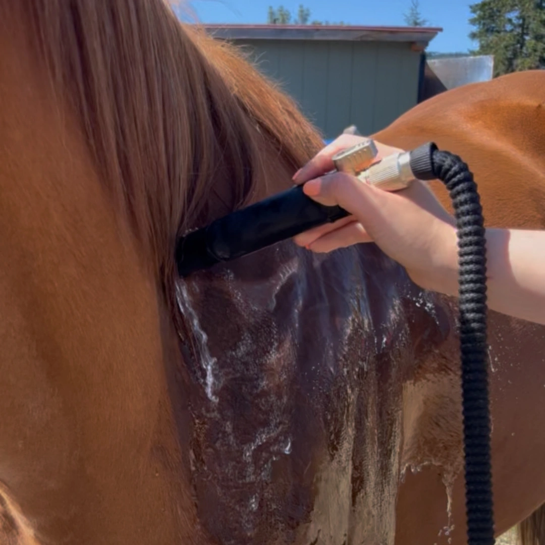 Hydro-Therapeutic Massage Nozzle for Dogs by AquaPulse - Image 4