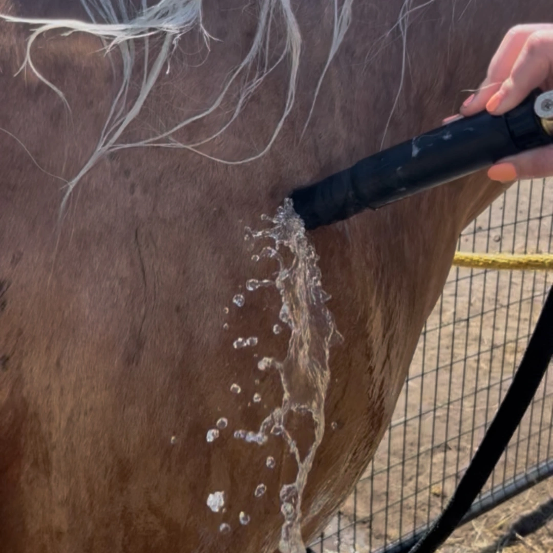 Hydro-Therapeutic Massage Nozzle for Dogs by AquaPulse - Image 5