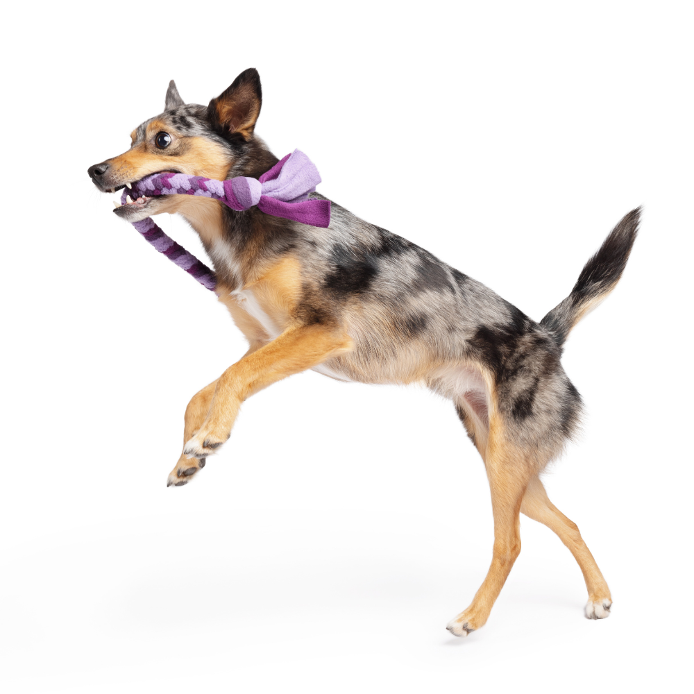 Buddy Braid Pack - Image 4