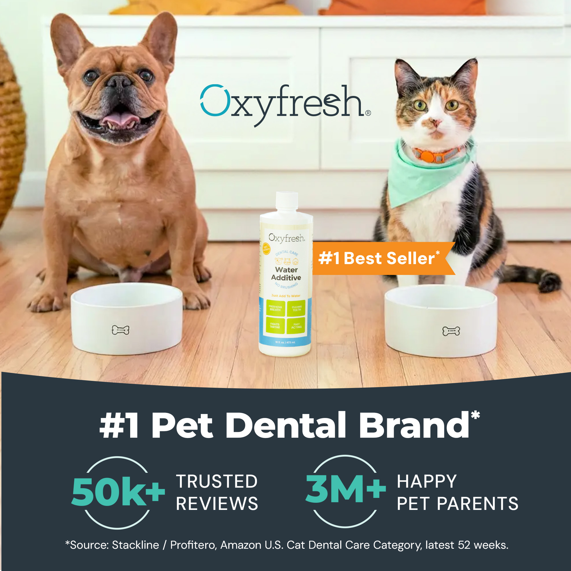 Advanced Pet Dental Powder - Image 6