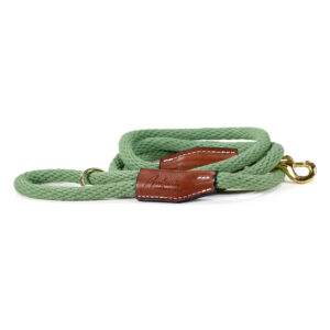 Sage Green Braided Cotton Rope Snap leash with leather accents and brass hardware