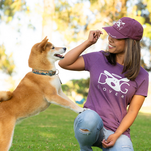 Dog Lover