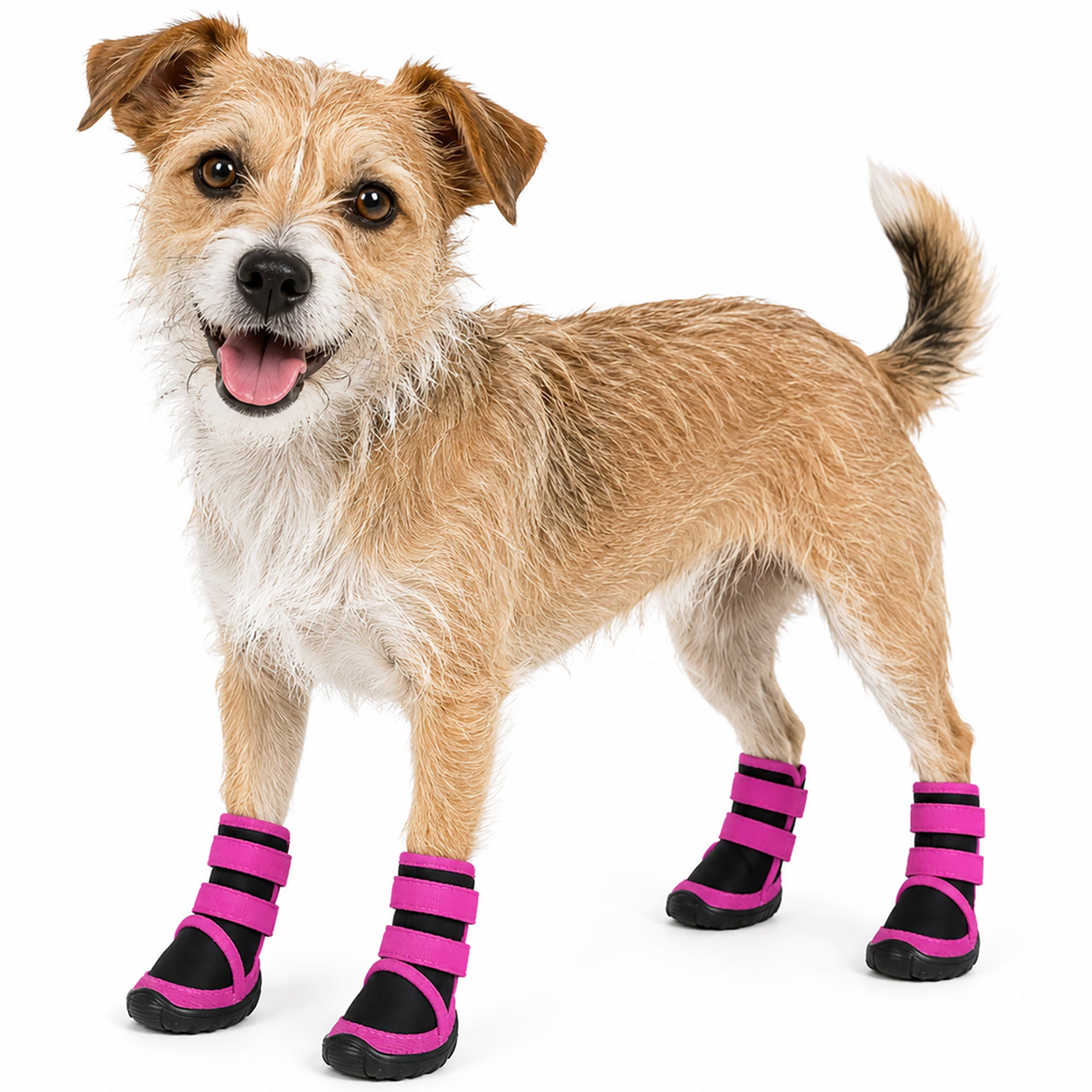 Pet Life ® Performance-Coned Premium Stretch Supportive Pet Shoes - Set Of 4 - Image 5