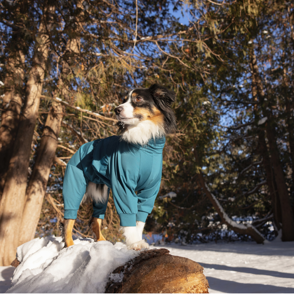 Flight Suit - Image 2