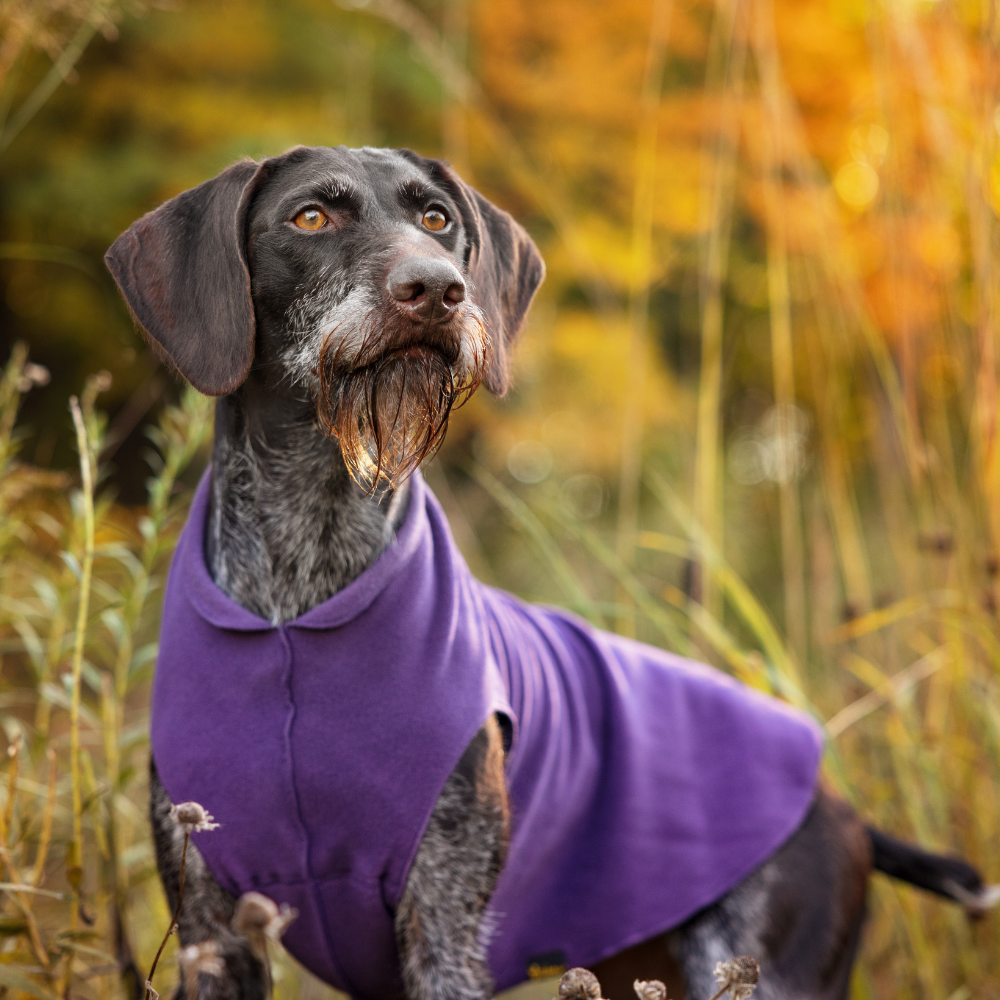 Goldpaw Stretch Fleece - Image 4