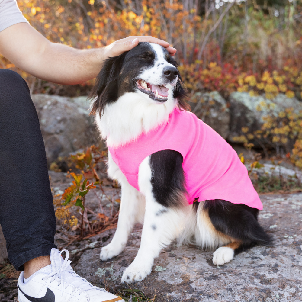 Goldpaw Stretch Fleece - Image 6