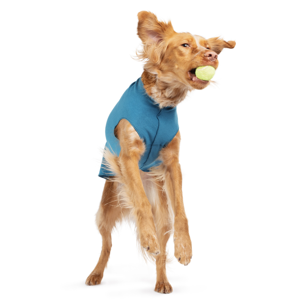 Goldpaw Stretch Fleece - Image 3