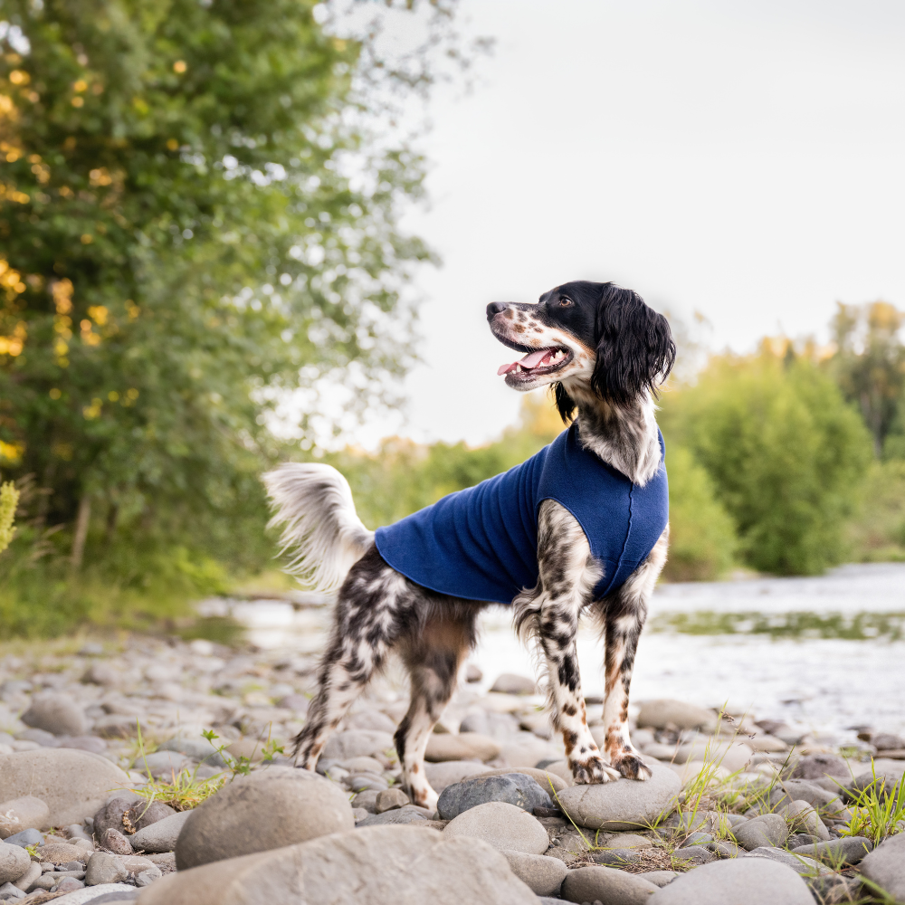 Goldpaw Stretch Fleece - Image 5
