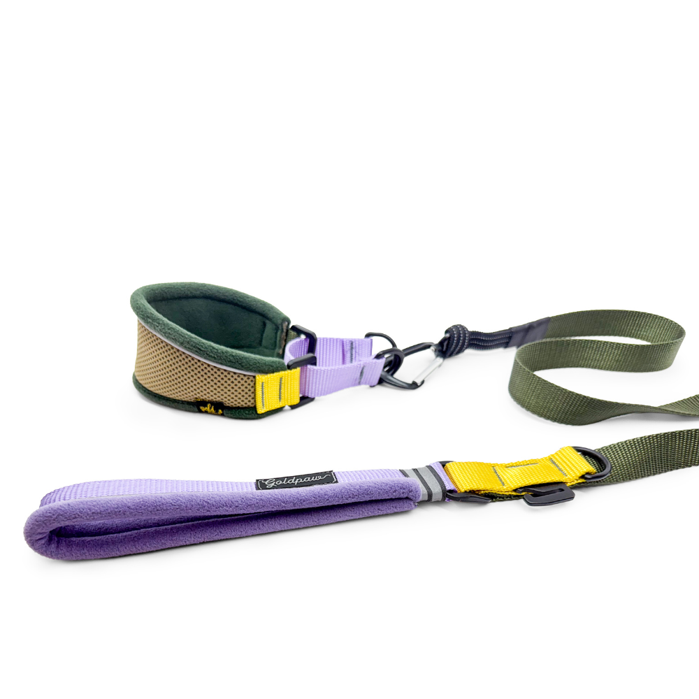 Featherweight Hound Collar - Image 2
