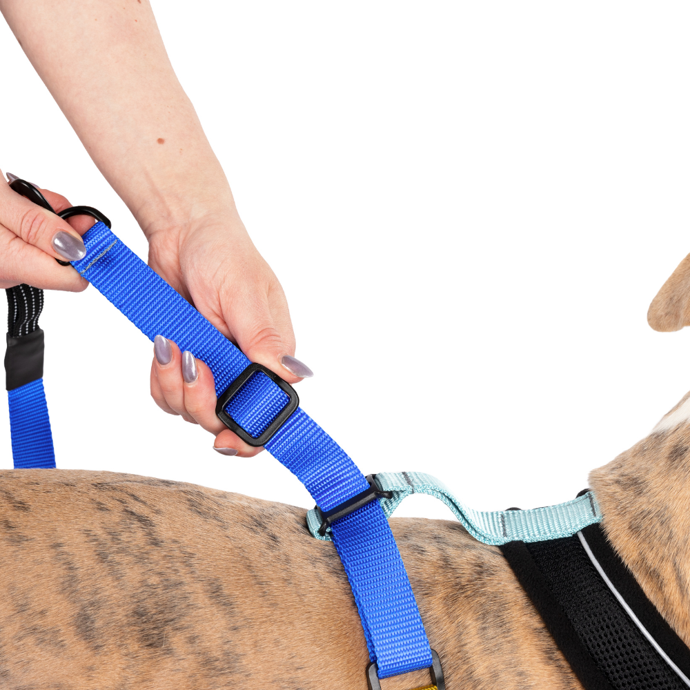 Featherweight Harness - Image 2