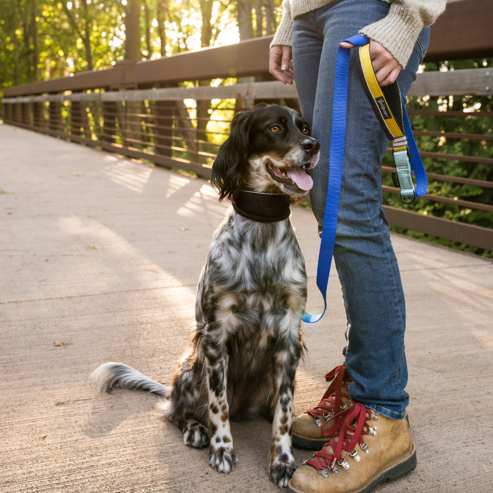 Featherweight Leash - Image 3