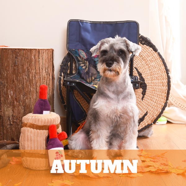 Autumn Season