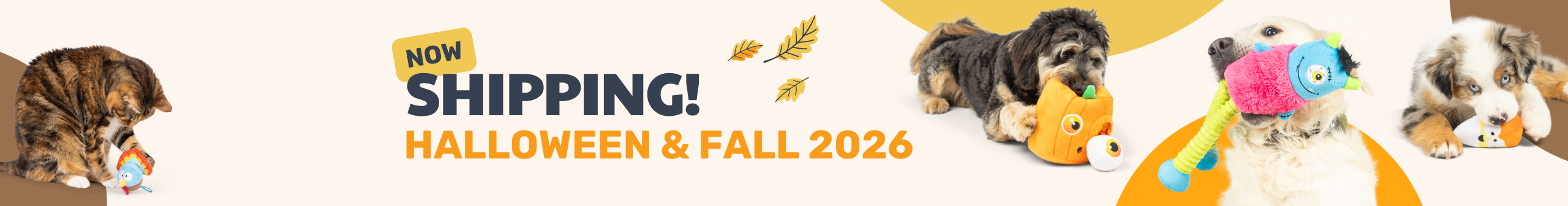 NEW! Halloween + Fall 2026