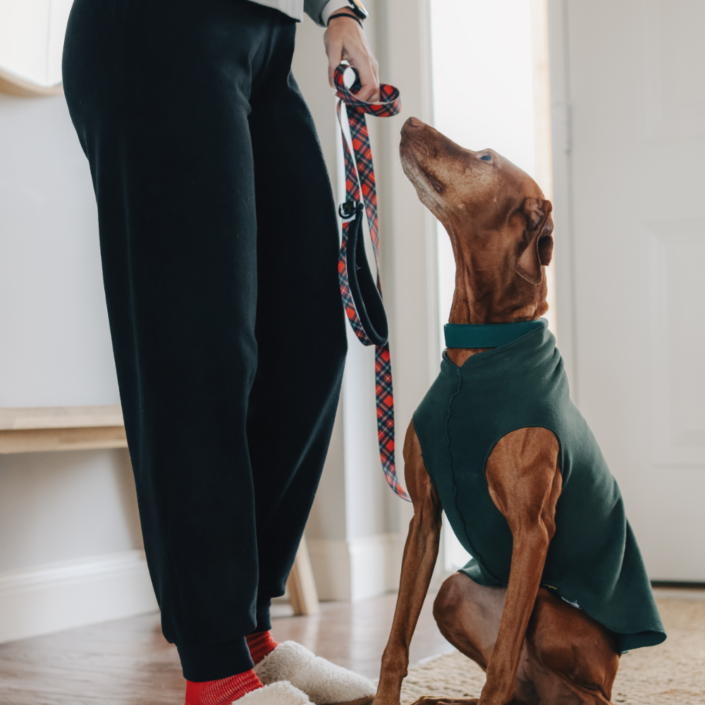 Fleece Joggers - Image 2