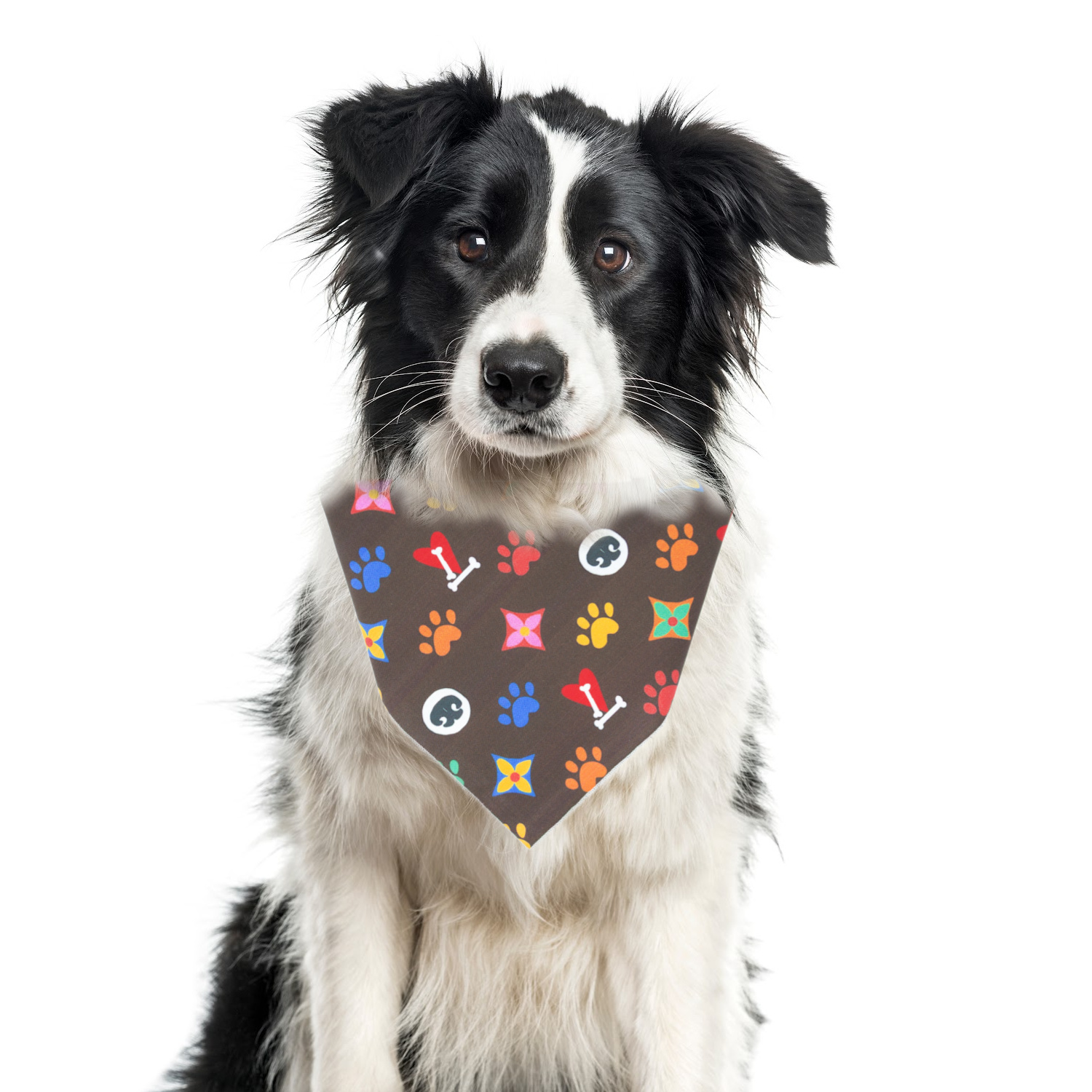 LOUIS LUXE DOG BANDANA - Image 2