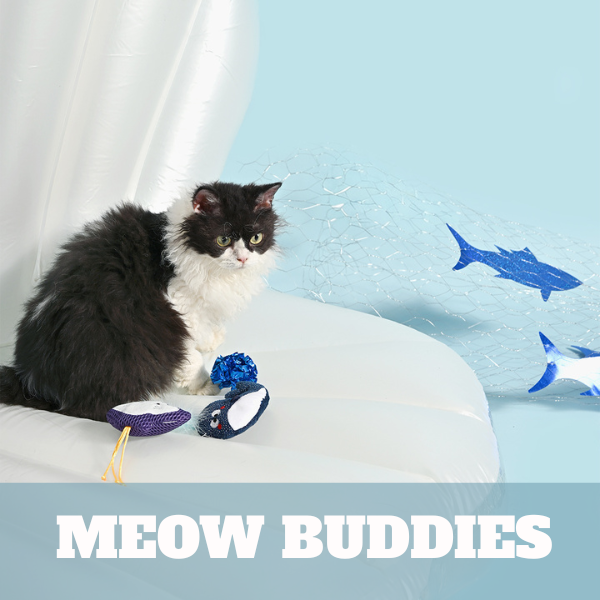 Meow Buddies