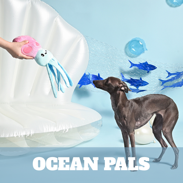 Ocean Pals