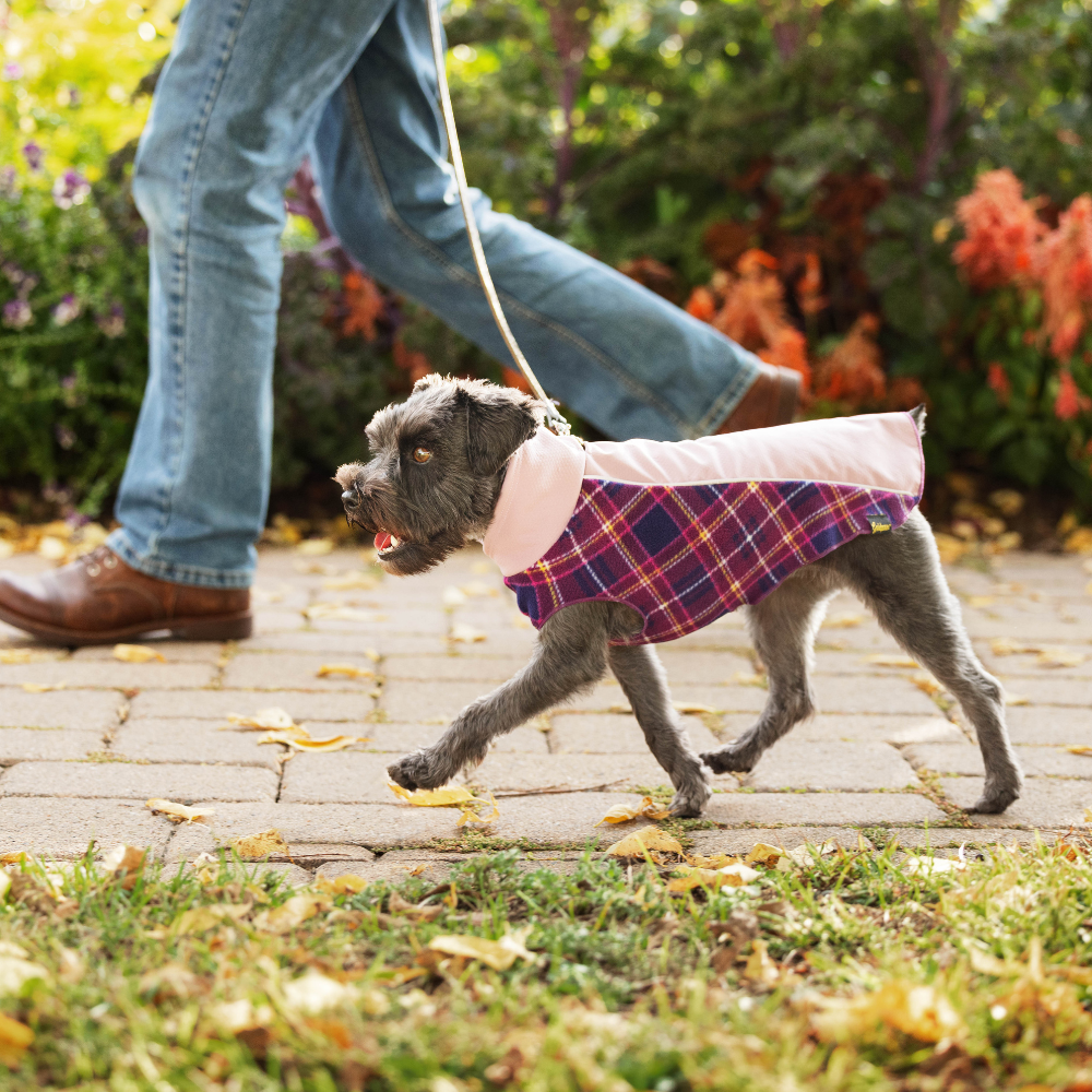 Portland Pullover - Image 2