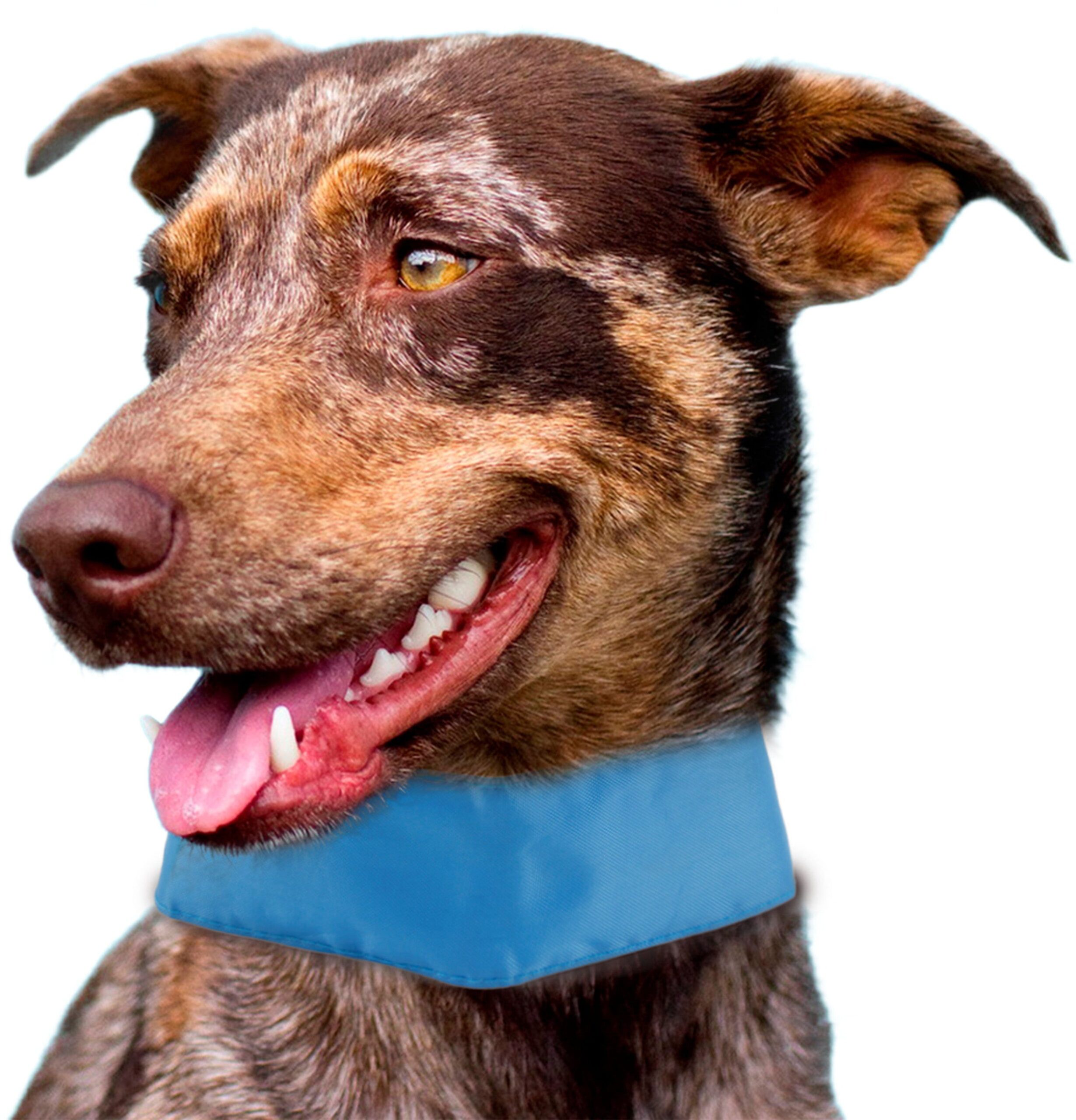 Pet Life ® Summer-Cooling Adjustable Cooling Gel Pack Dog Neck Wrap