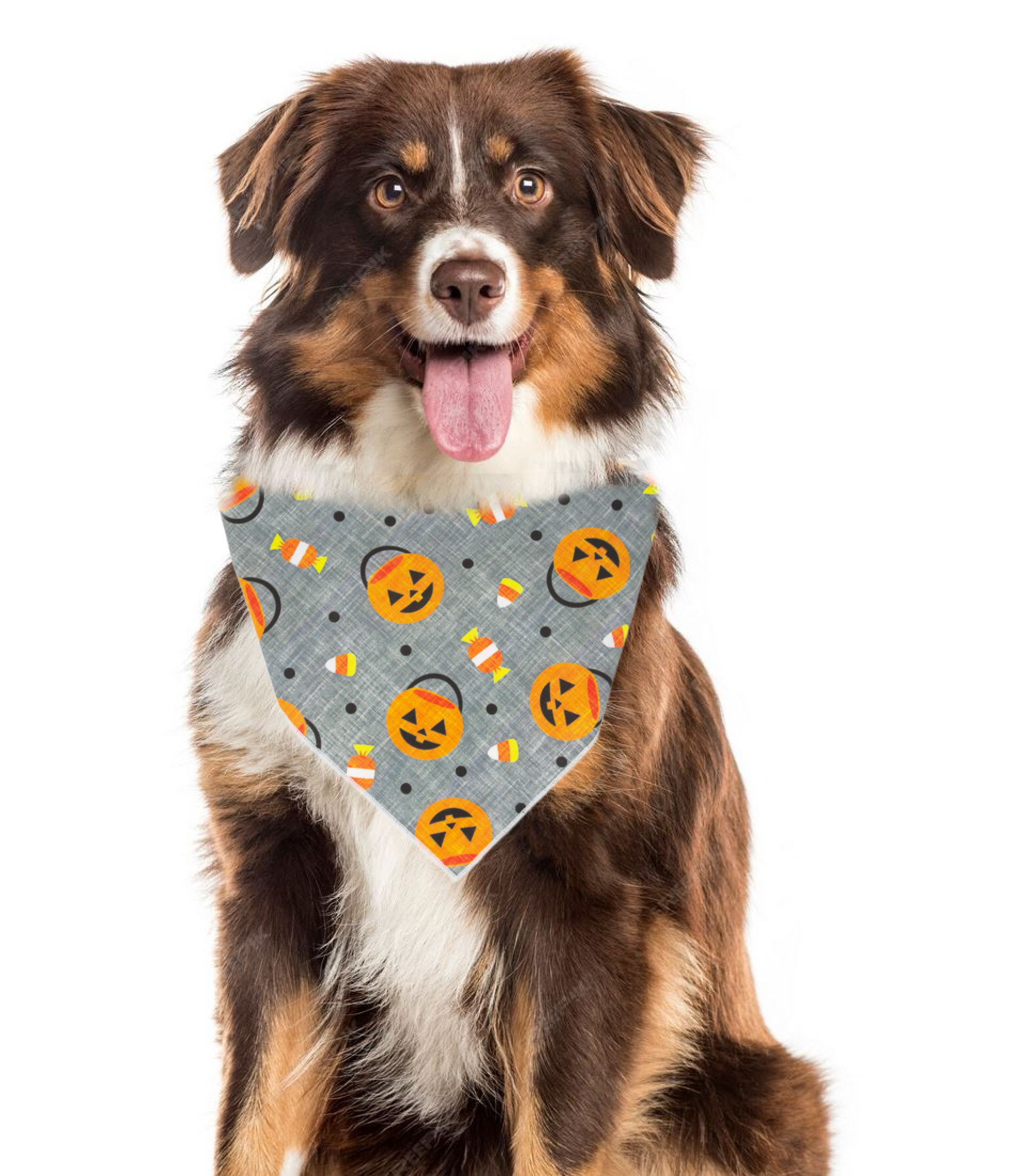 Halloween Dog Bandana | Pumpkin Bandana | Candy Corn Bandana - Image 2