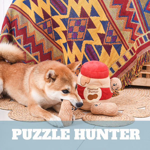 Puzzle Hunter