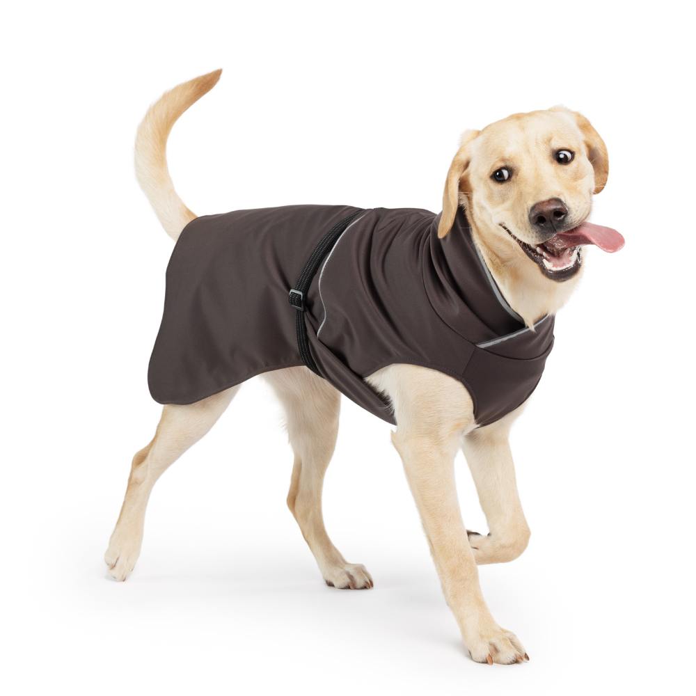 RainPaw II