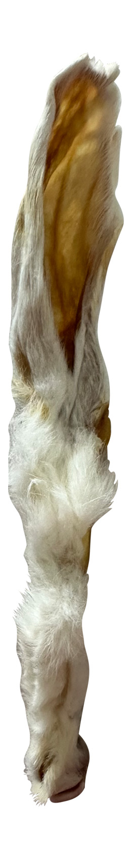 Rabbit Ears - 10pk Retail Pouch - Image 3