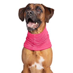 Sun Shield Snood
