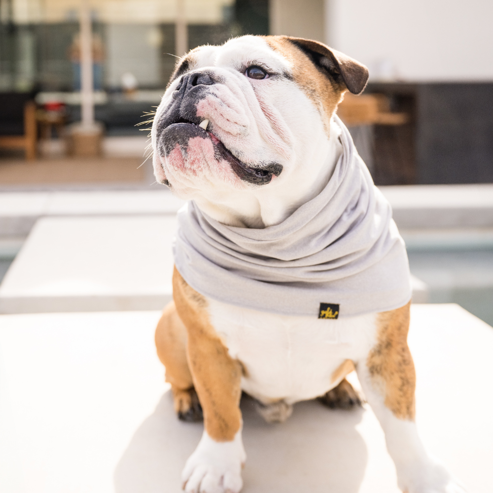 Sun Shield Snood - Image 2