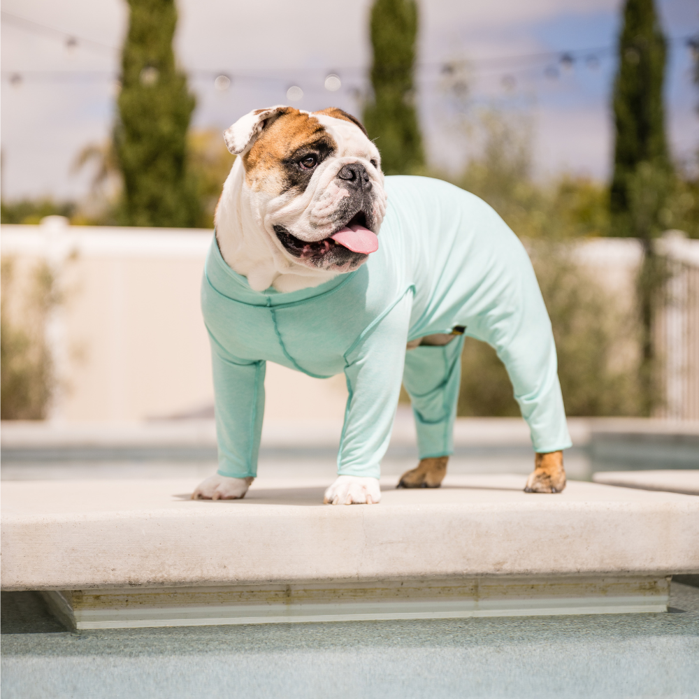 Sun Suit - Image 3