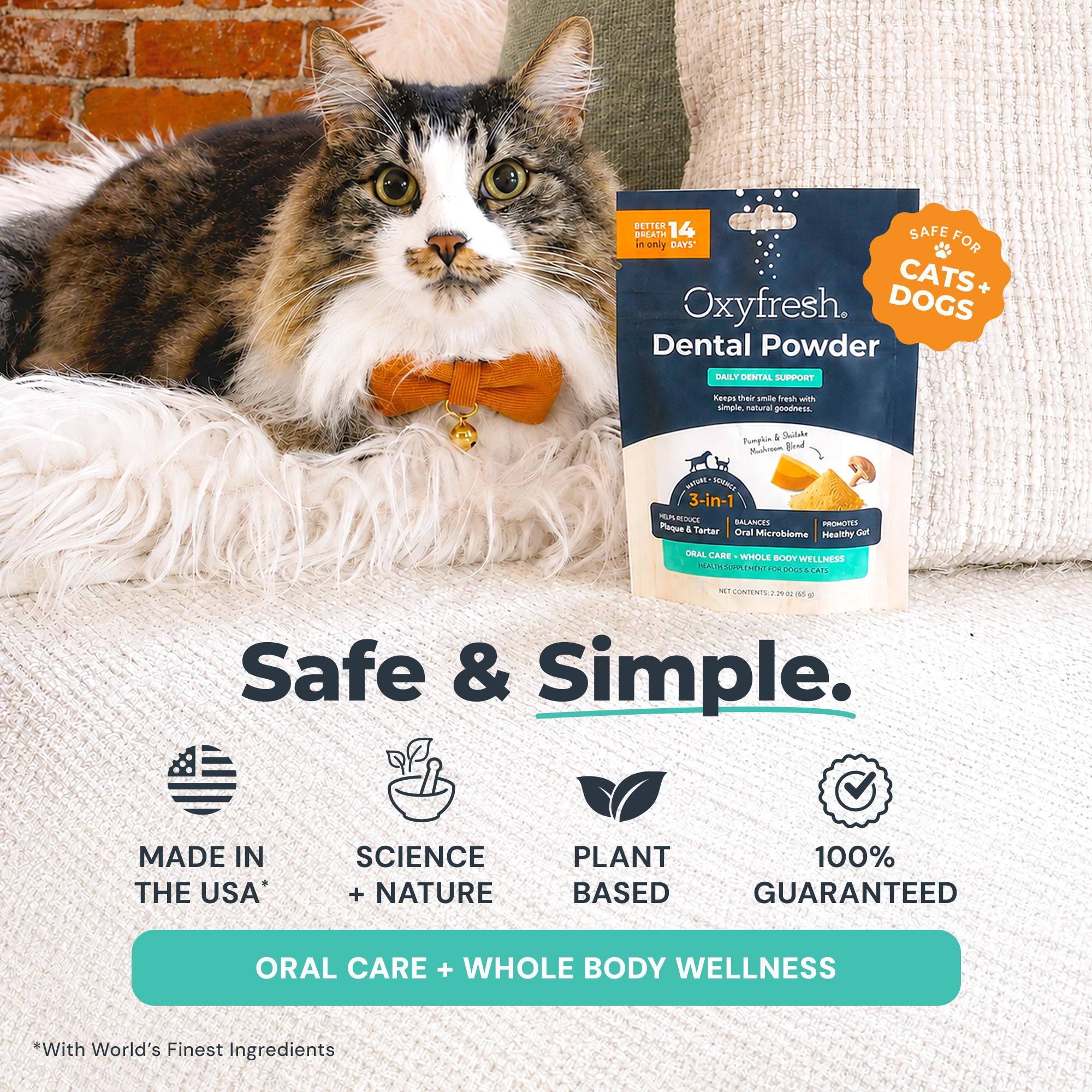 Advanced Pet Dental Powder - Image 4
