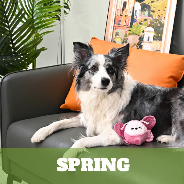 Spring Season