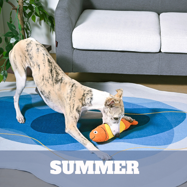 Summer Season